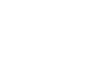 A white logo of a brain sectioned into 4 blocks across and 3 blocks down